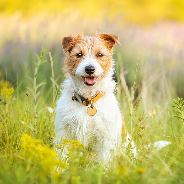 GettyImages-1313790986-6x6